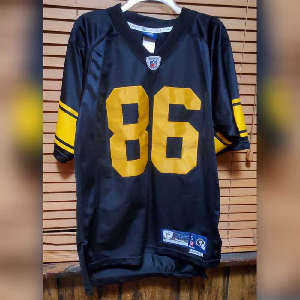 Hines Ward jersey
